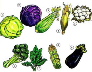 These vegetables to be avoided in Monsoon Season