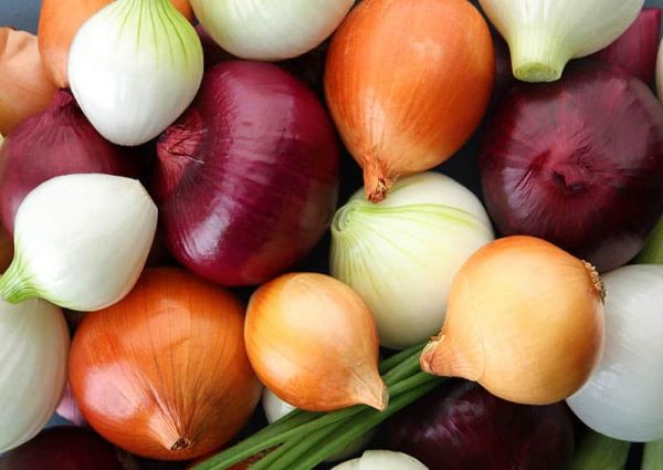 Health Benefits of Raw Onion