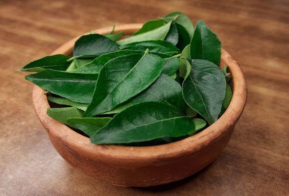 Curry Leaves Health Benefits