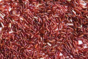 Red Rice for your health