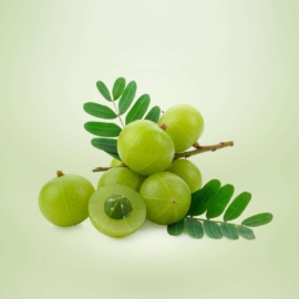 Superfood Amla