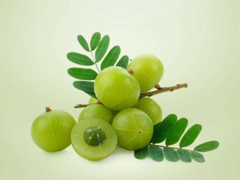 Superfood Amla