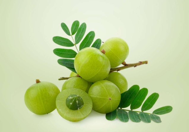 Superfood Amla