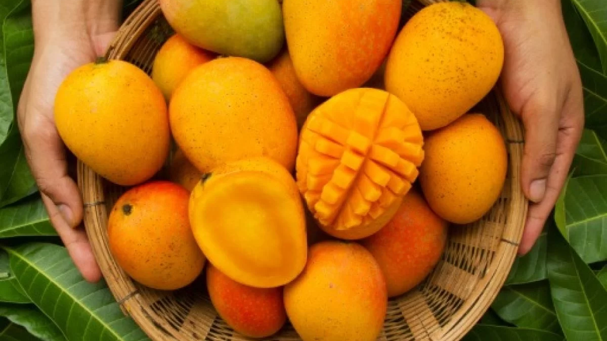 Mango is good for skin & body