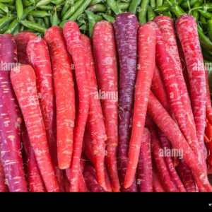 Carrots in winter season