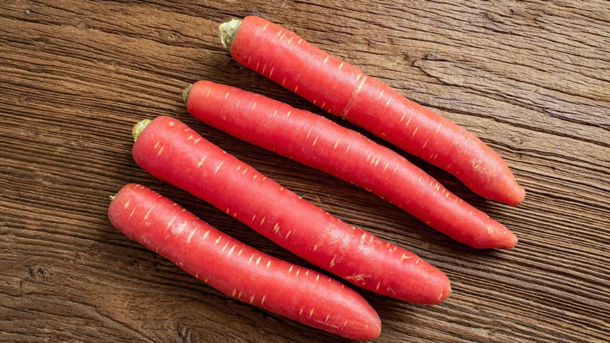 Carrots in Winter Season