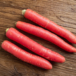 Carrots in Winter Season