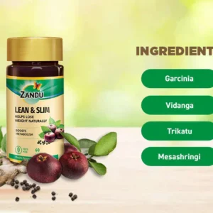 Zandu Lean & Slim Ingredients