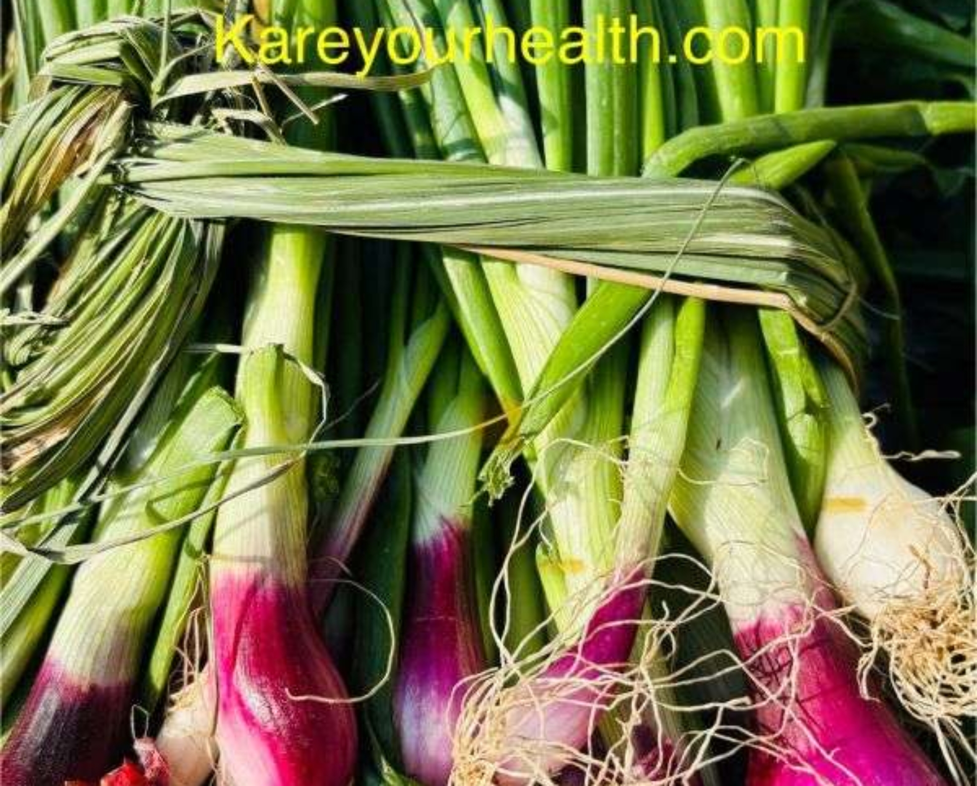 Spring Onions in winter season