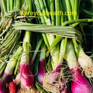 Spring Onions in winter season