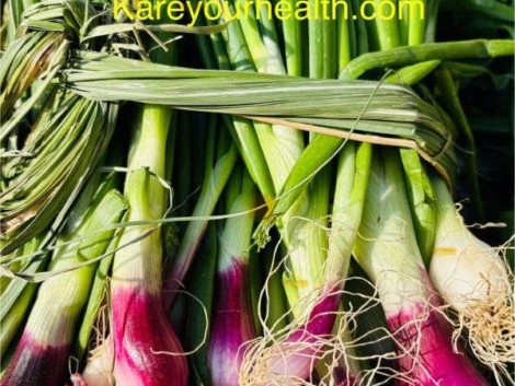 Spring Onions in winter season