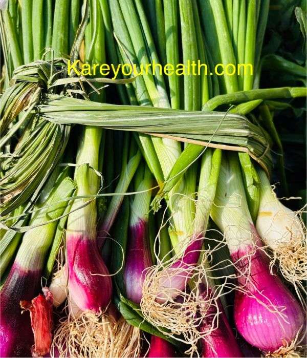 Spring Onions in winter season